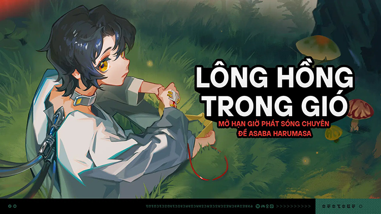 Lông Hồng Trong Gió