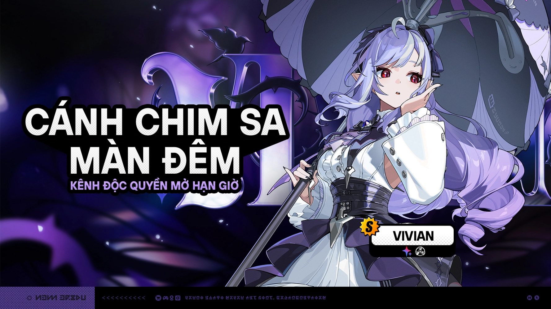 Cánh Chim Sa Màn Đêm