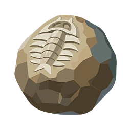 Lõi Hóa Thạch Quý Giá